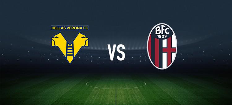 山东女篮总 山东女篮总