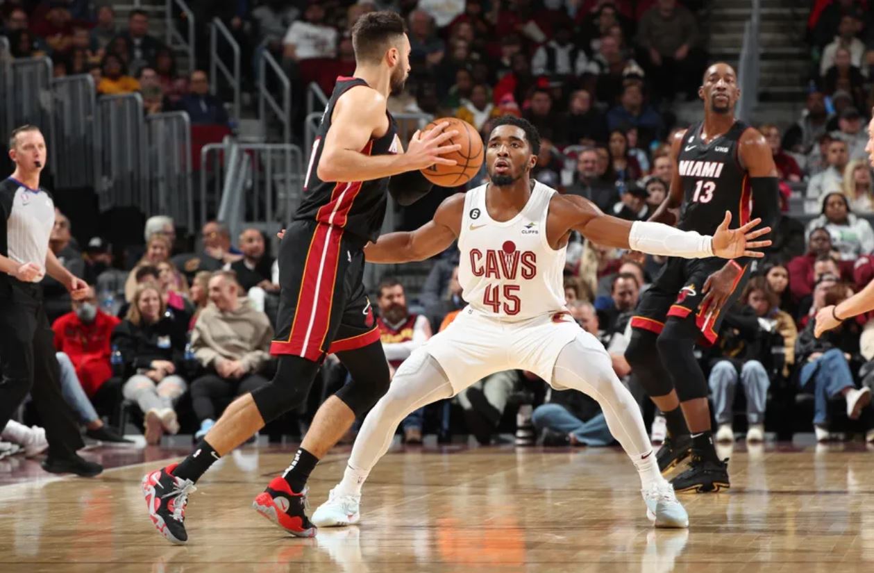 需要我补充 需要我补充